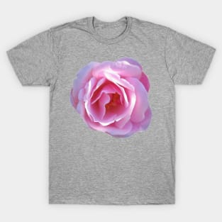 Pink rose T-Shirt